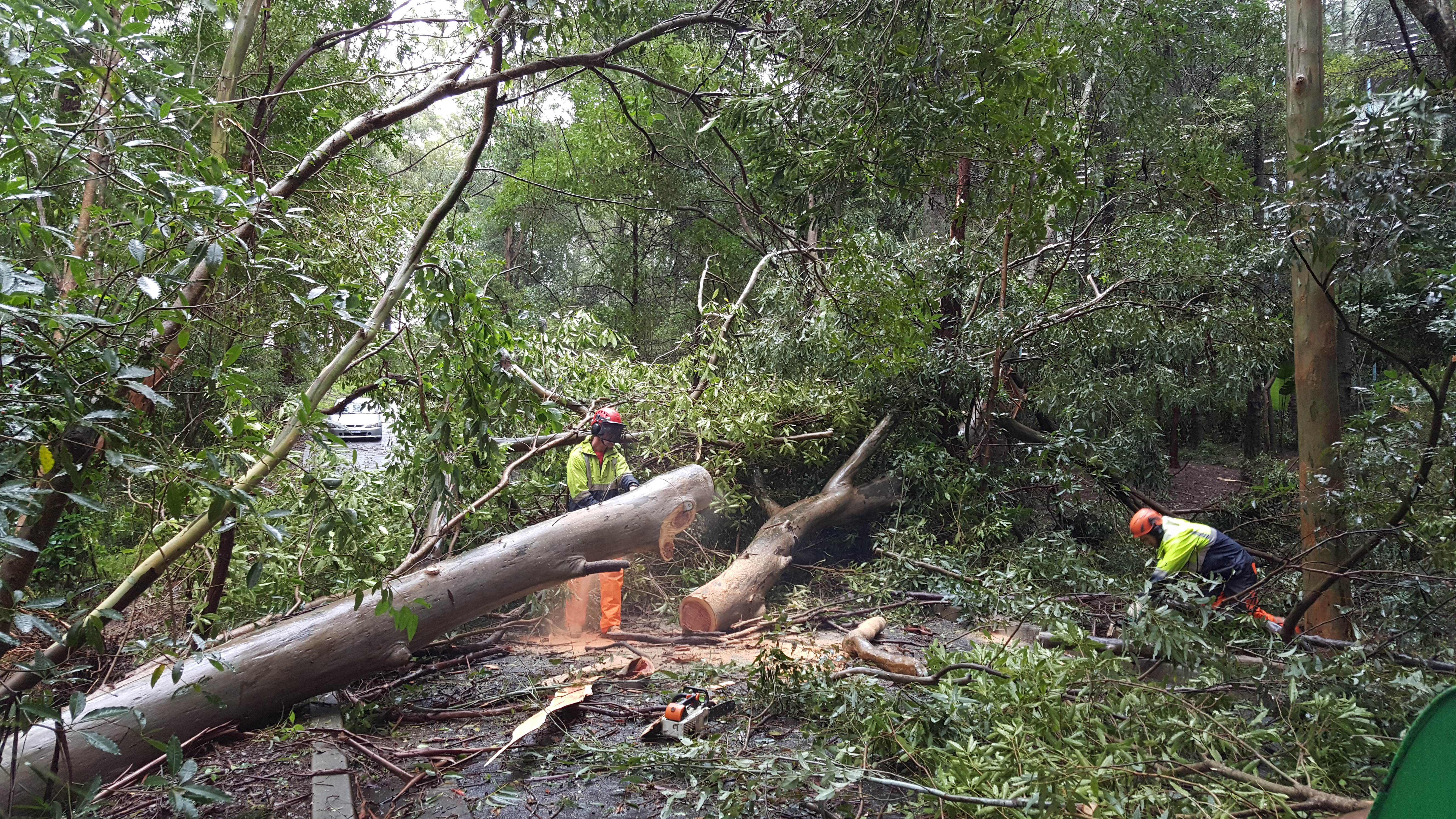 Storm damage road clearance West Pennant Hills